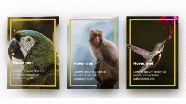 responsive 3d cards with html, css & javascript code snippets included.gif